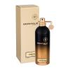 Montale Amber Musk Parfumovaná voda 100 ml