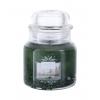 Yankee Candle Evergreen Mist Vonná sviečka 104 g