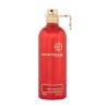 Montale Oud Tobacco Parfumovaná voda 100 ml tester