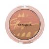 Dermacol Bronzing And Highlighting Powder With Blush Bronzer pre ženy 10,5 g