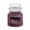 Village Candle Palm Beach Vonná sviečka 389 g