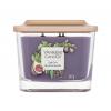 Yankee Candle Elevation Collection Fig &amp; Clove Vonná sviečka 347 g