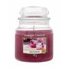 Yankee Candle Sweet Plum Sake Vonná sviečka 411 g