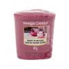 Yankee Candle Sweet Plum Sake Vonná sviečka 49 g