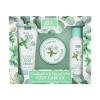 Xpel Eucalyptus &amp; Peppermint Foot Care Kit Darčeková kazeta krém na chodidlá Eucalyptus &amp; Peppermint Foot Cream 100 ml + kúpeľ na nohy Eucalyptus &amp; Peppermint Foot Soak 100 ml + peeling na chodidlá Eucalyptus &amp; Peppermint Foot Scrub 100 ml