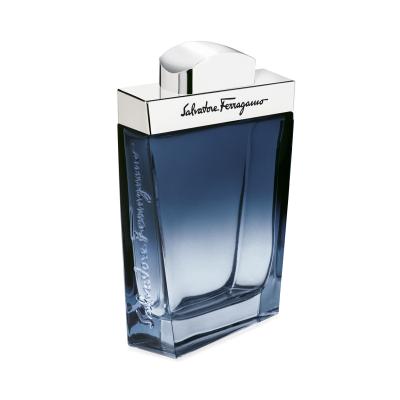 Ferragamo Subtil Pour Homme Toaletná voda pre mužov 100 ml