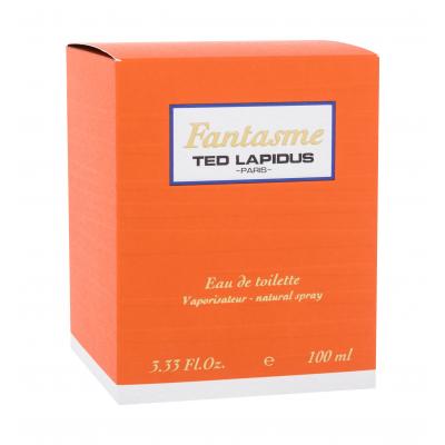 Ted Lapidus Fantasme Toaletná voda pre ženy 100 ml