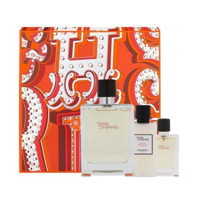 Hermes Terre d´Hermès Darčeková kazeta toaletná voda 100 ml + toaletná voda 12,5 ml + balzam po holení 40 ml