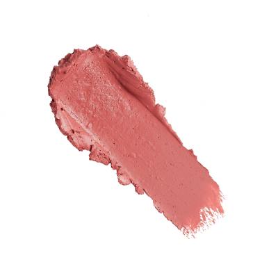 Revolution Pro New Neutral Satin Matte Lipstick Rúž pre ženy 3,2 g Odtieň Tease