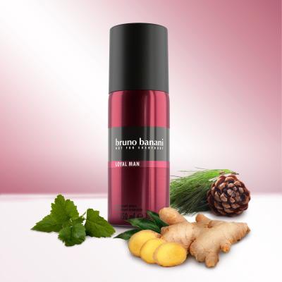 Bruno Banani Loyal Man Dezodorant pre mužov 150 ml