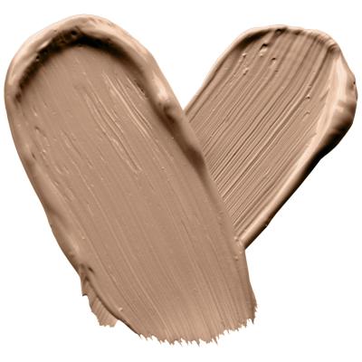 Wet n Wild MegaLast Incognito All-Day Full Coverage Concealer Korektor pre ženy 5,5 ml Odtieň Light Honey