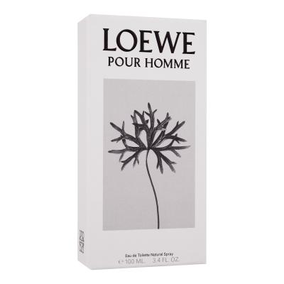 Loewe Pour Homme Toaletná voda pre mužov 100 ml