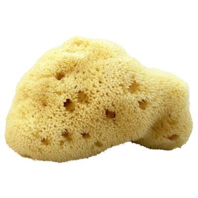 Kii-Baa Organic Silky Sea Sponge 8-10 cm Doplnok do kúpeľne 1 ks