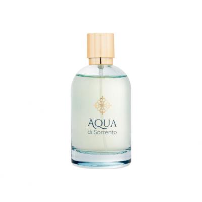 Aqua di Sorrento Posillipo Parfumovaná voda pre mužov 100 ml