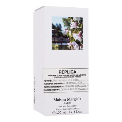 Maison Margiela Paris Replica Springtime in a Park Toaletná voda 100 ml