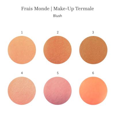 Frais Monde Make Up Termale Lícenka pre ženy 6 g Odtieň 2 poškodená krabička