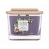 Yankee Candle Elevation Collection Fig & Clove Vonná sviečka 347 g