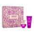 Versace Pour Femme Dylan Purple Darčeková kazeta parfumovaná voda 30 ml + telové mlieko 50 ml