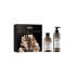 L'Oréal Professionnel Absolut Repair Molecular Glacial Utopia Limited Edition Darčeková kazeta šampón Absolut Repair Molecular 300 ml + vlasové sérum Absolut Repair Molecular 250 ml