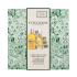 L'Occitane Almond (Amande) Body Care Gift Set Darčeková kazeta sprchovací olej Almond Shower Oil 250 ml + telový olej Almond Supple Skin Oil 100 ml + krém na ruky Almond Delicious Hands 30 ml