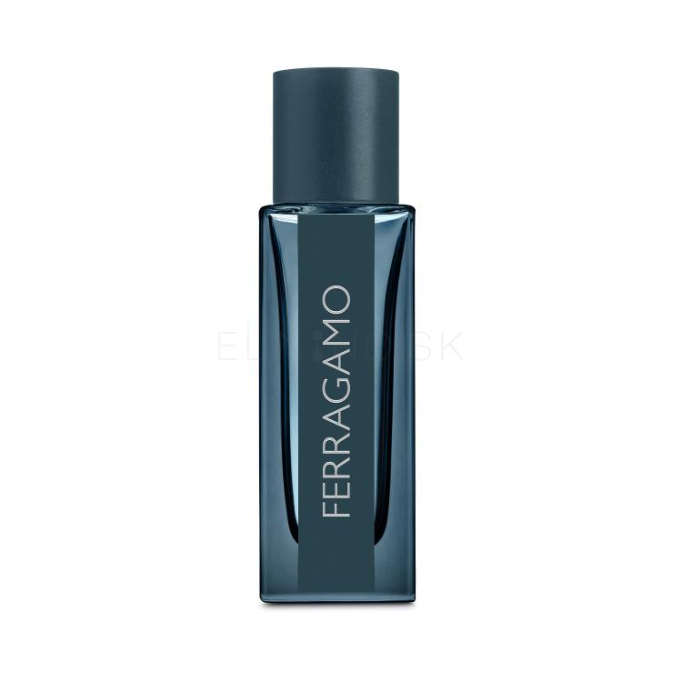 Ferragamo Ferragamo Intense Leather Parfumovaná voda pre mužov 30 ml