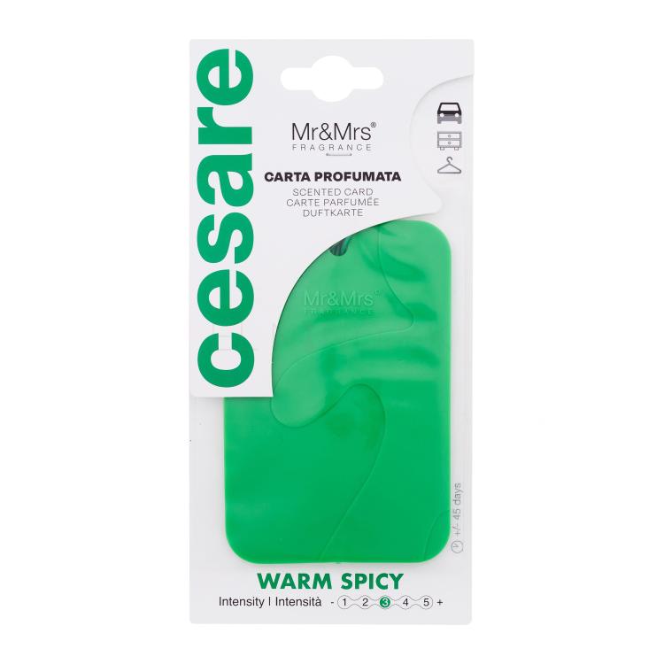 Mr&amp;Mrs Fragrance Cesare Scented Card Warm Spicy Vôňa do auta 1 ks