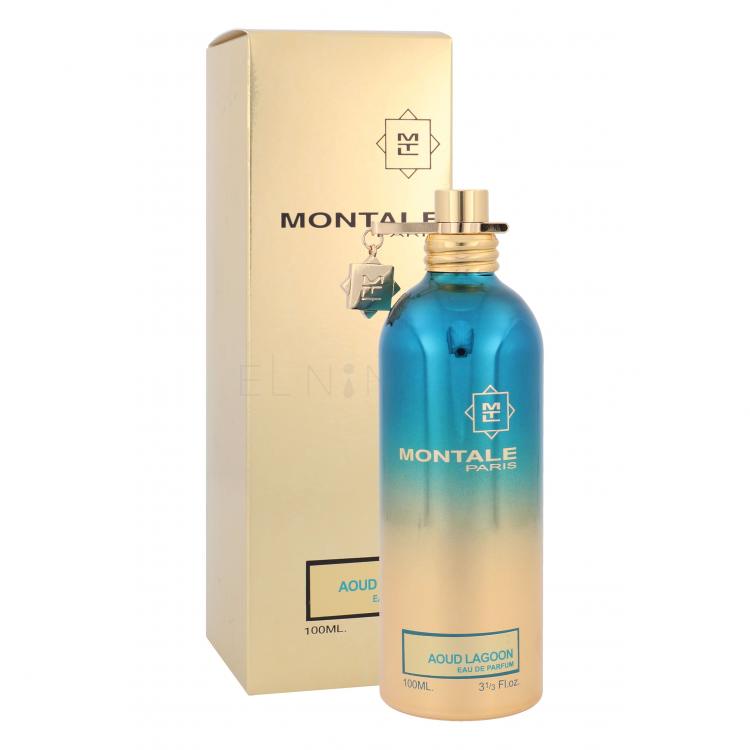 Montale Aoud Lagoon Parfumovaná voda 100 ml